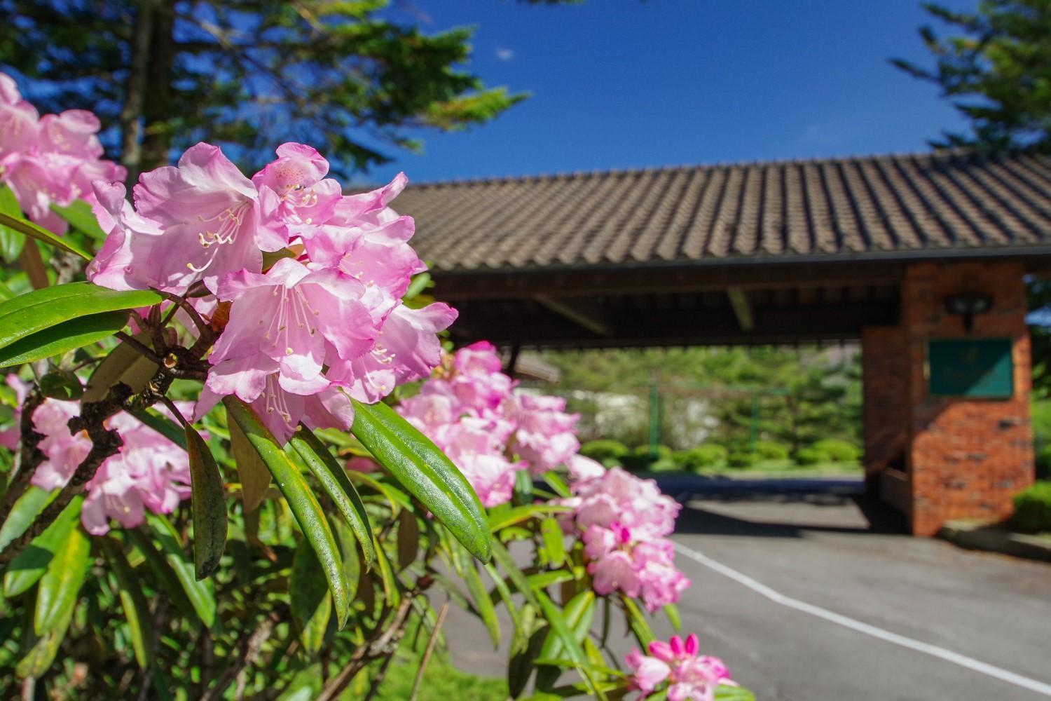 โรงแรม สึมาโกอิ พรินซ์ ภายนอก รูปภาพ